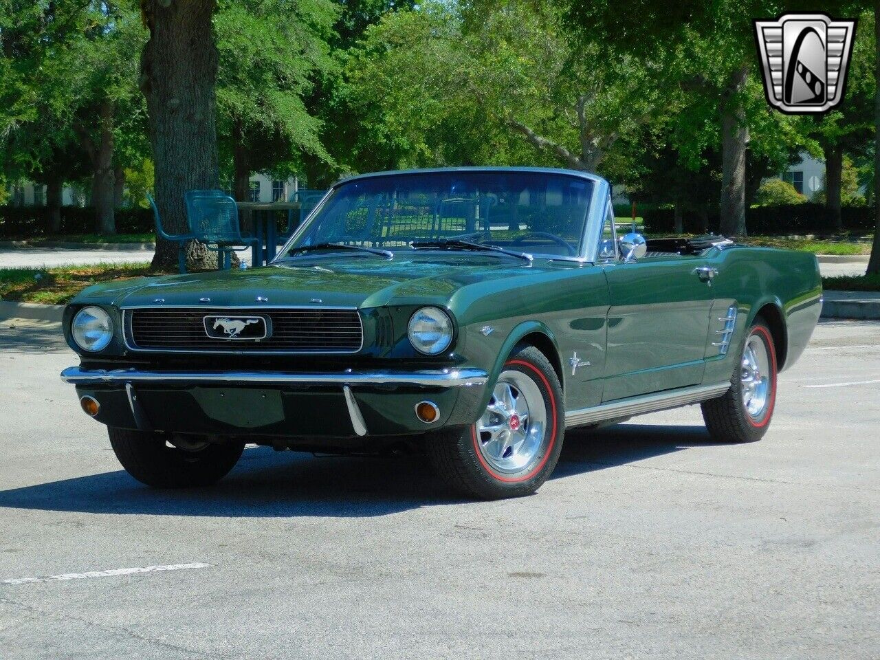 Ford-Mustang-1966-Green-Black-114572-3