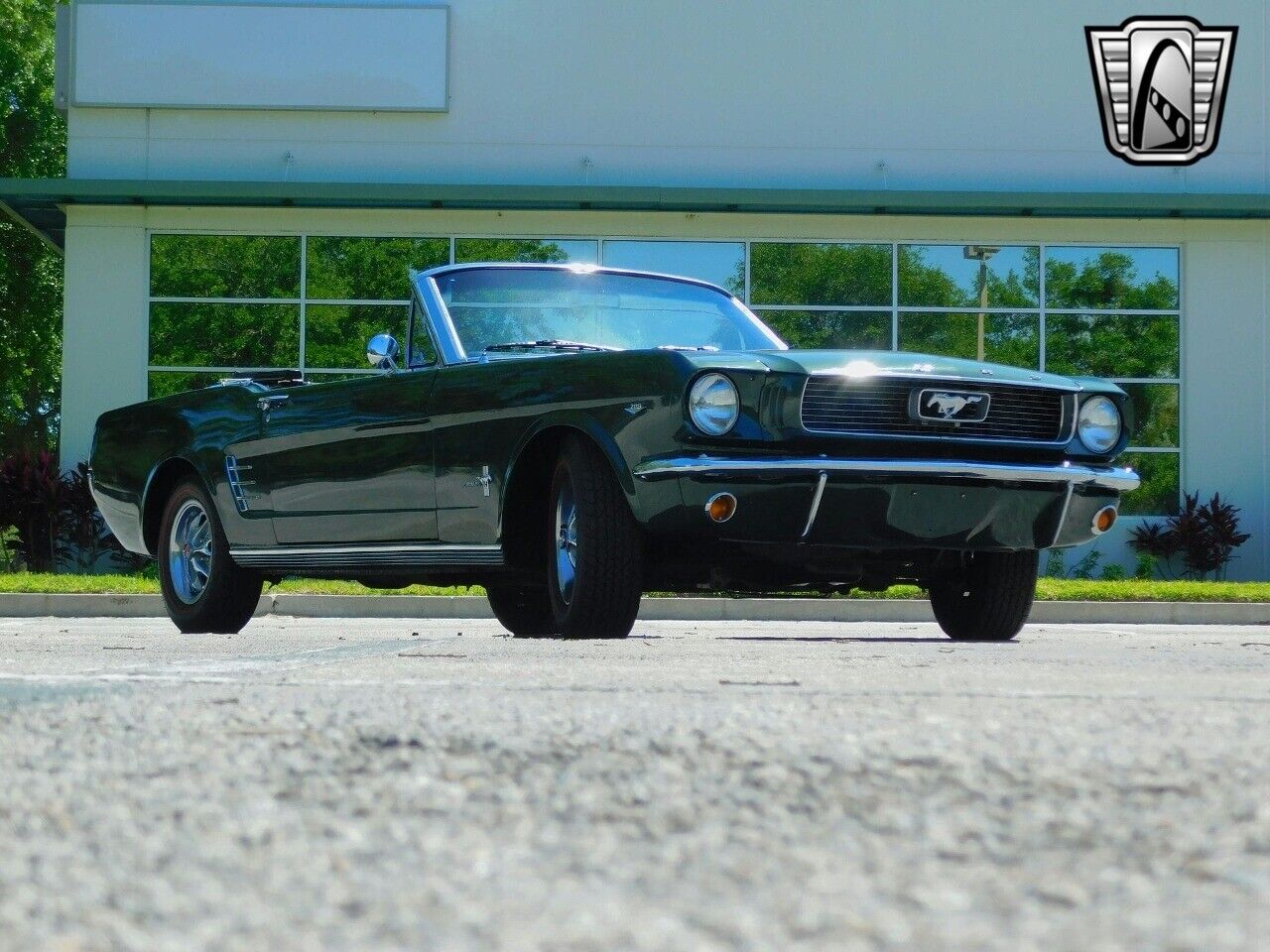 Ford-Mustang-1966-Green-Black-114572-8