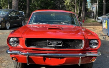 Ford-Mustang-1966-Red-Black-64251-1