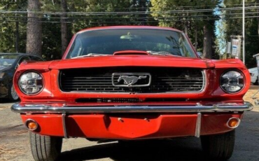 Ford-Mustang-1966-Red-Black-64251-4