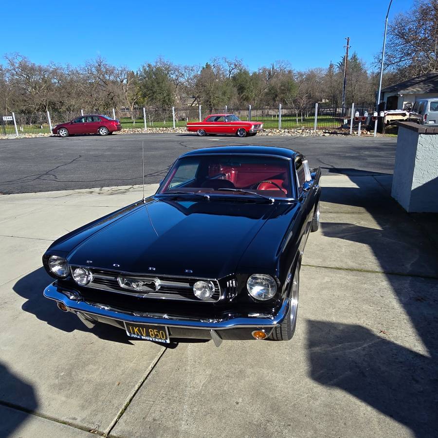 Ford-Mustang-1966-black-17881-10