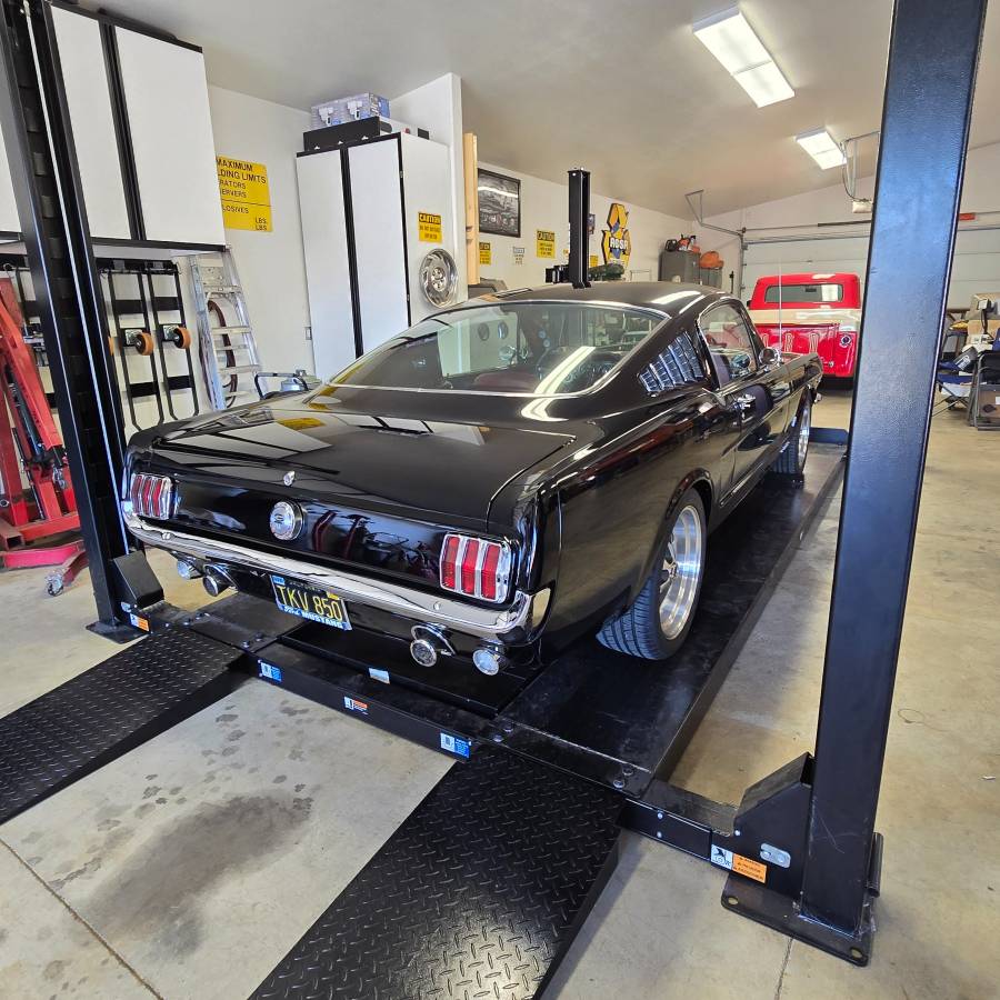 Ford-Mustang-1966-black-17881-2