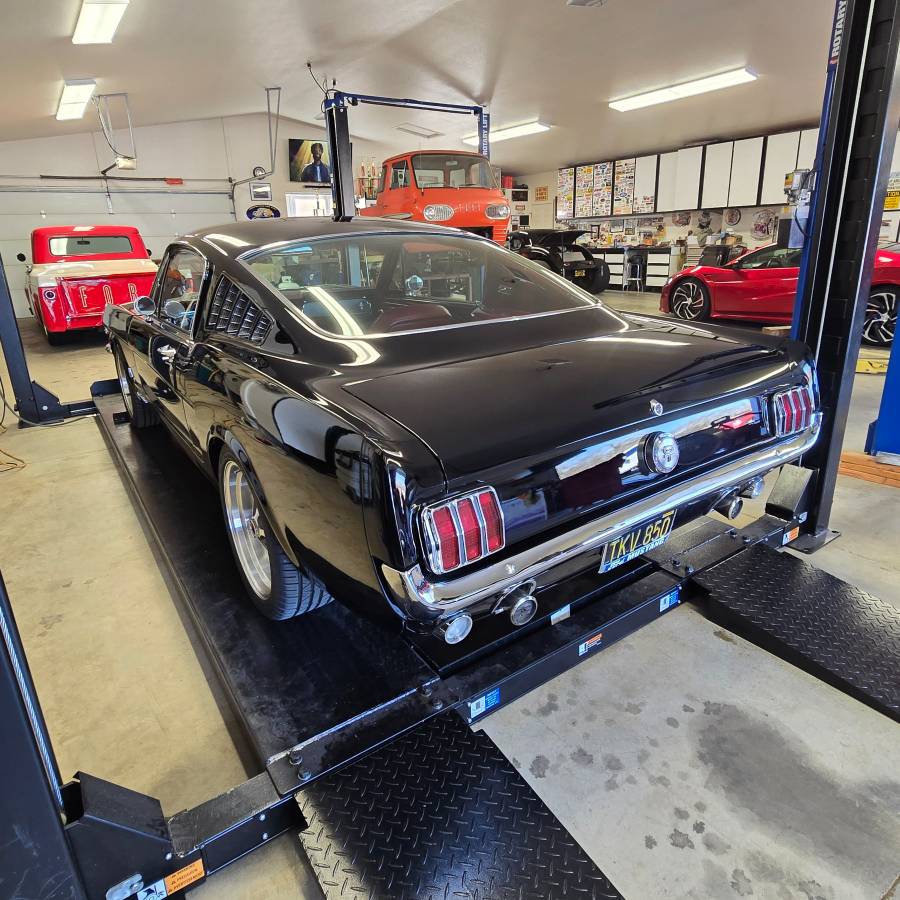 Ford-Mustang-1966-black-17881-3