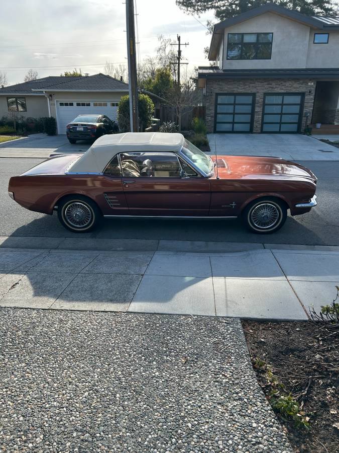 Ford-Mustang-1966-custom-145162-1