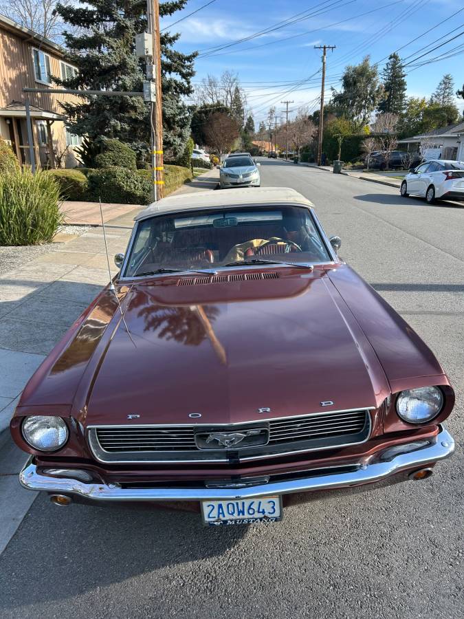 Ford-Mustang-1966-custom-145162-6