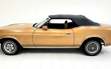 Ford-Mustang-1971-Copper-Ginger-186409-2