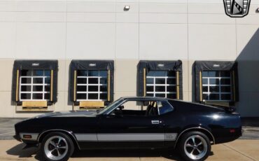 Ford-Mustang-1973-Silver-Black-15303-6