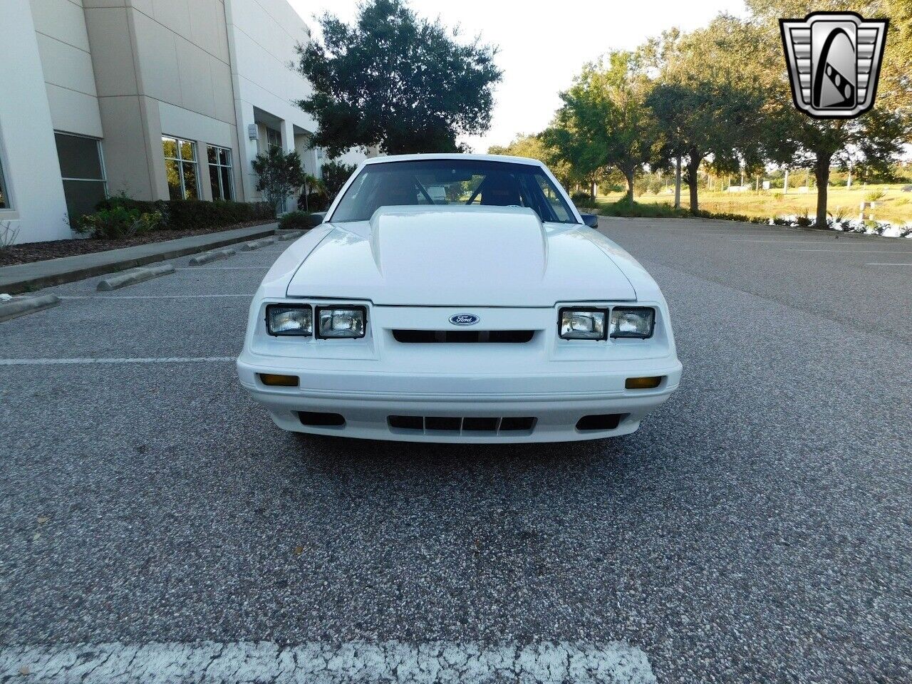 Ford-Mustang-1986-White-Black-0-2