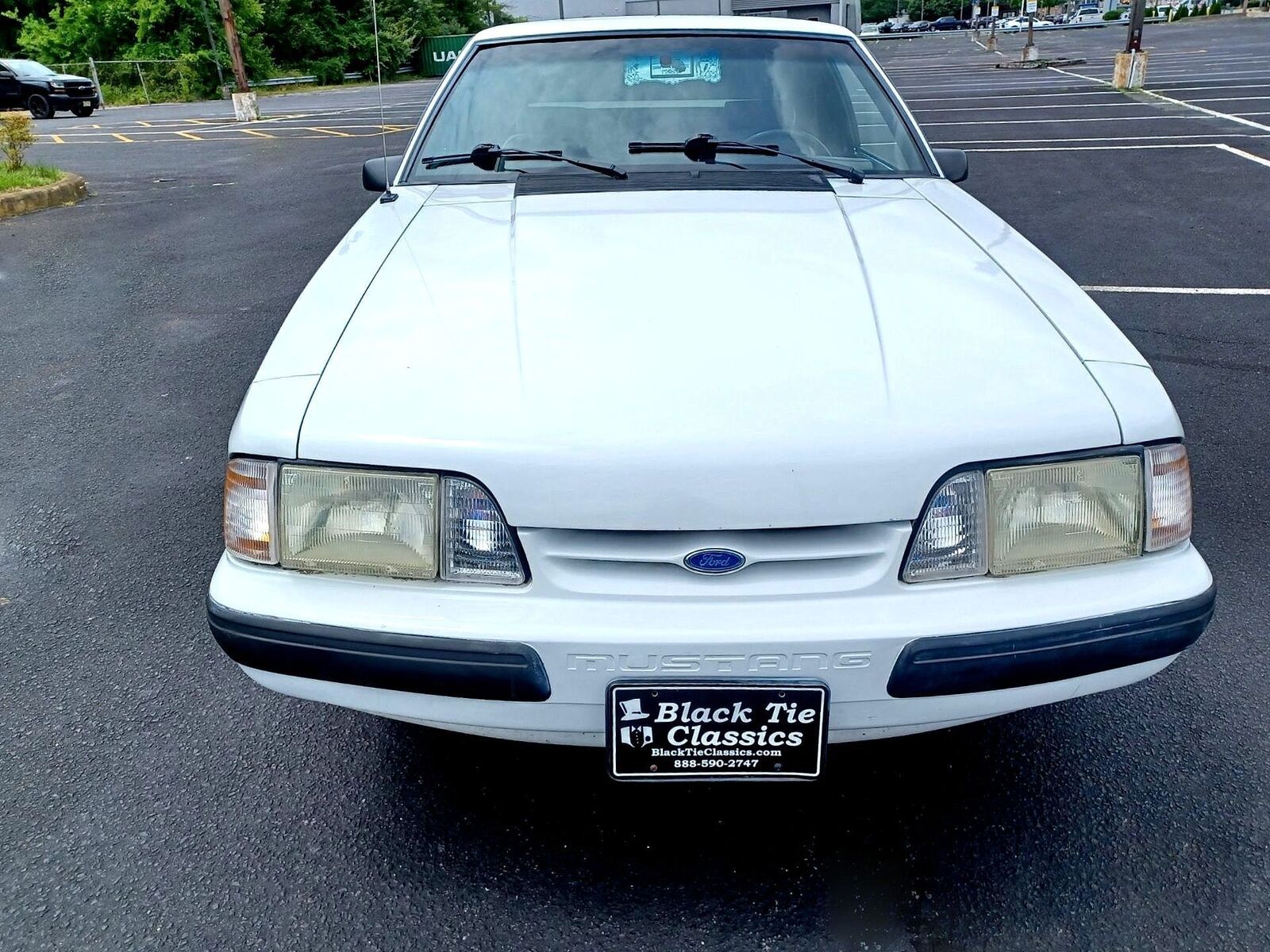 Ford-Mustang-1990-White-Gray-77743-1