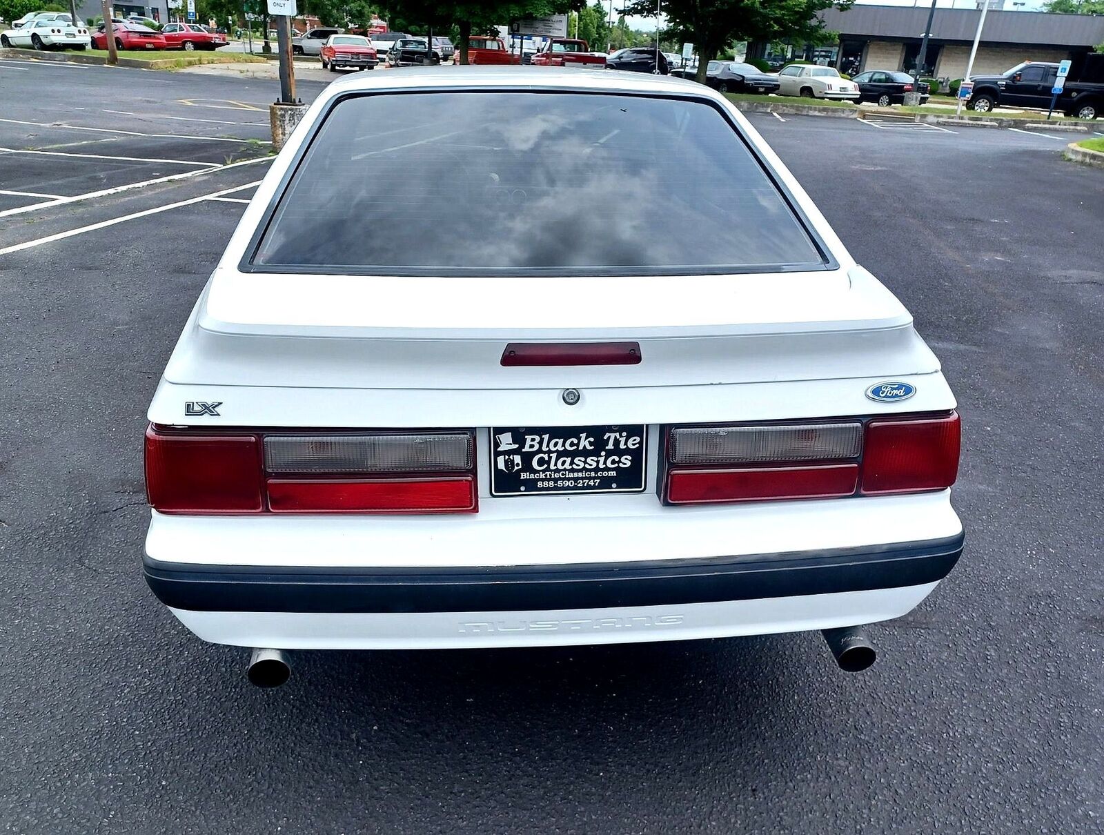 Ford-Mustang-1990-White-Gray-77743-4