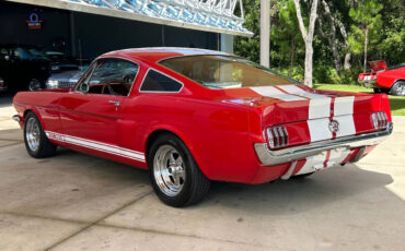 Ford-Mustang-Break-1965-Red-Red-41634-10