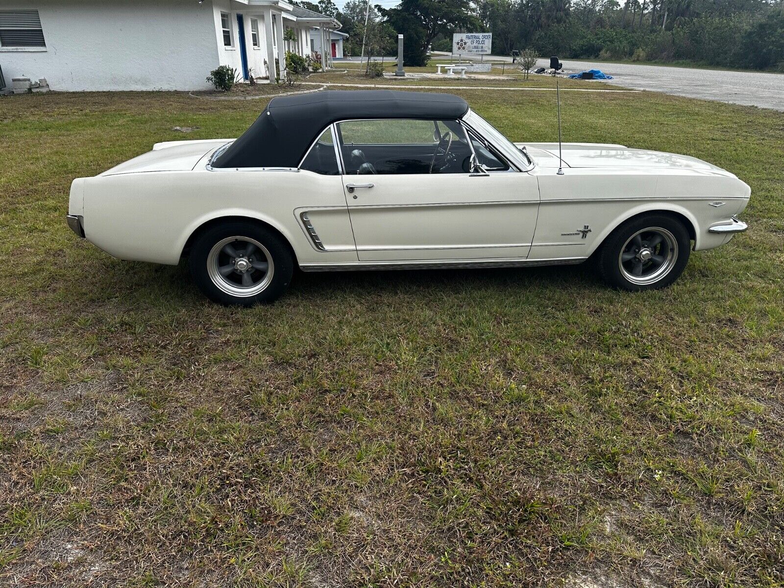 Ford-Mustang-Cabriolet-1965-White-21388-2