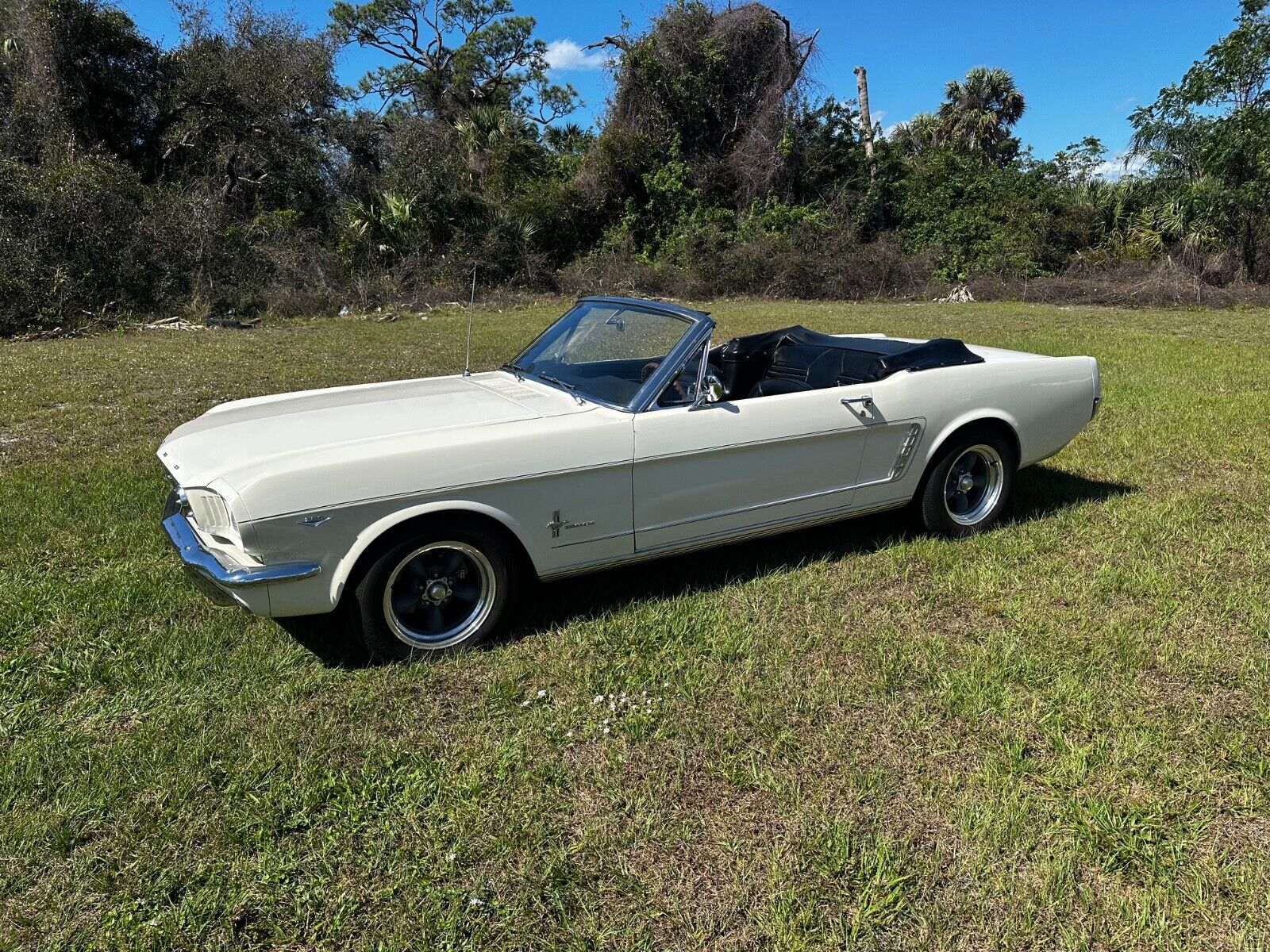 Ford-Mustang-Cabriolet-1965-White-21388-28