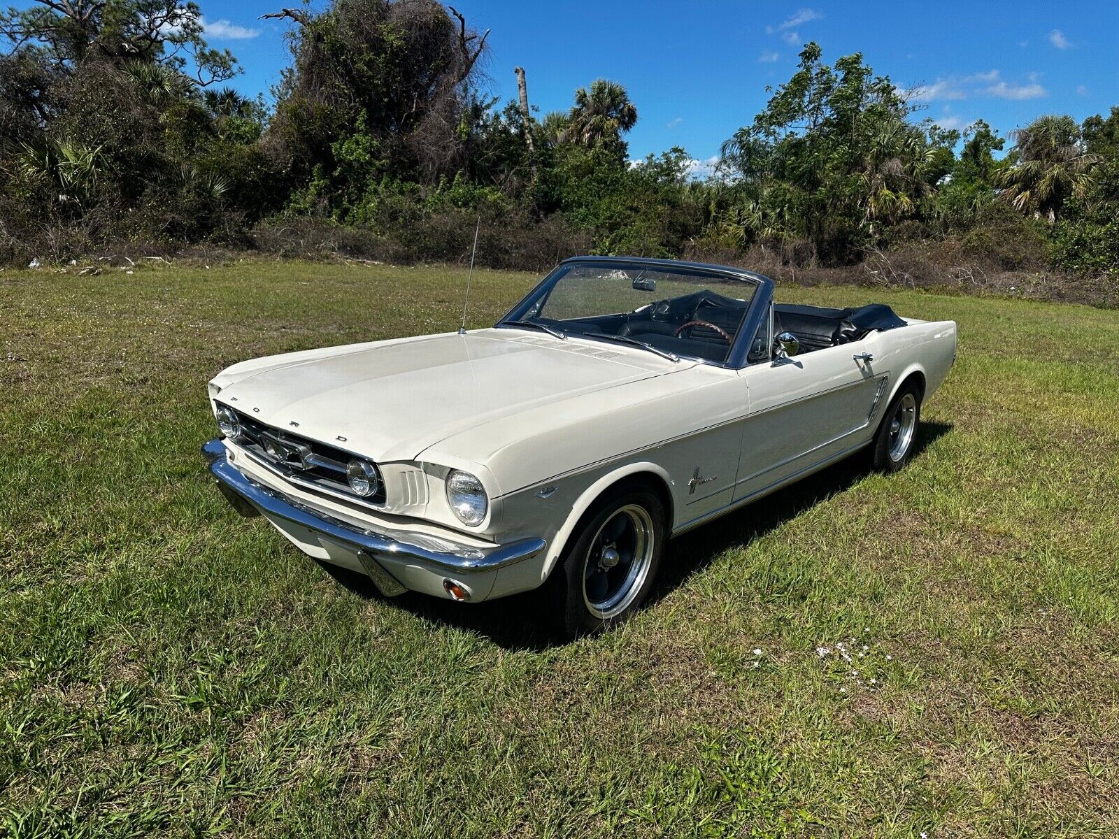 Ford-Mustang-Cabriolet-1965-White-21388-29