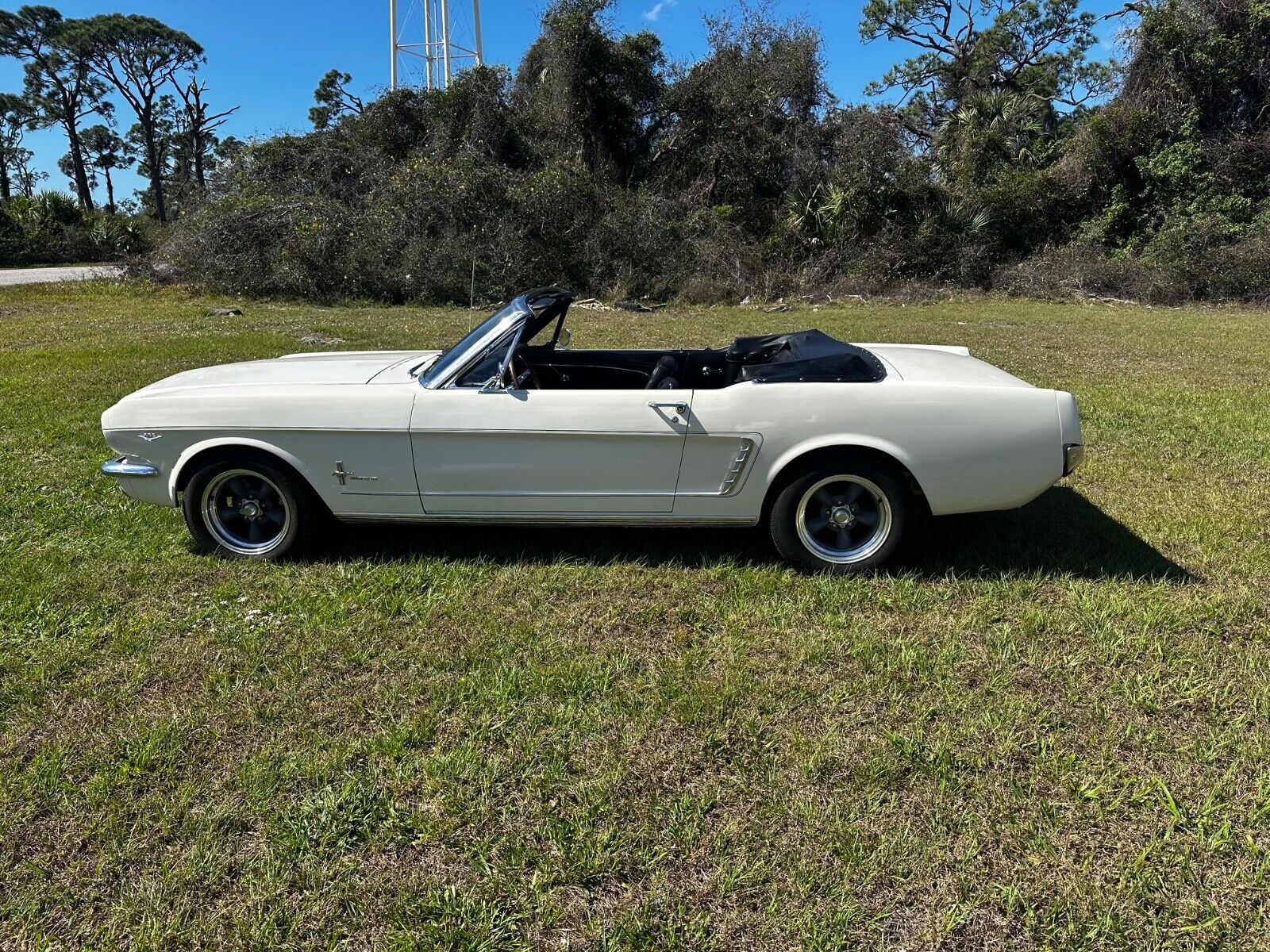 Ford-Mustang-Cabriolet-1965-White-21388-30