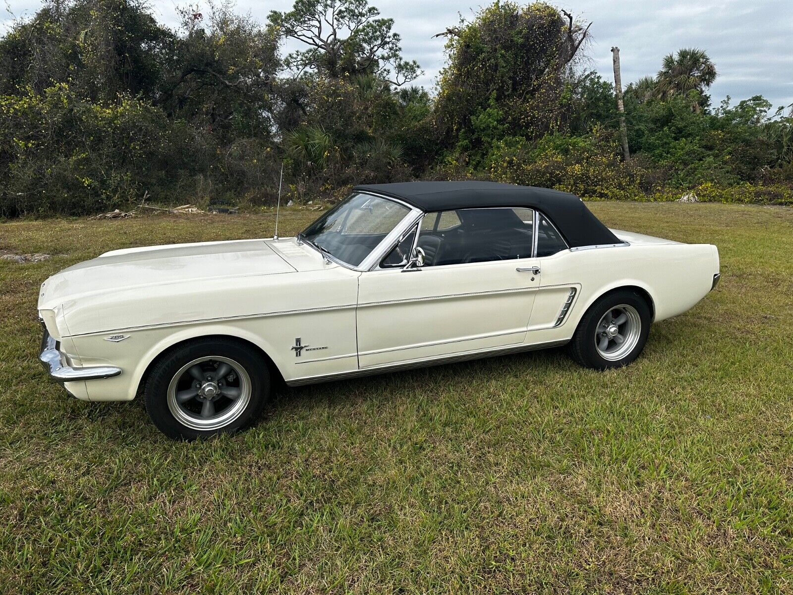 Ford-Mustang-Cabriolet-1965-White-21388-6