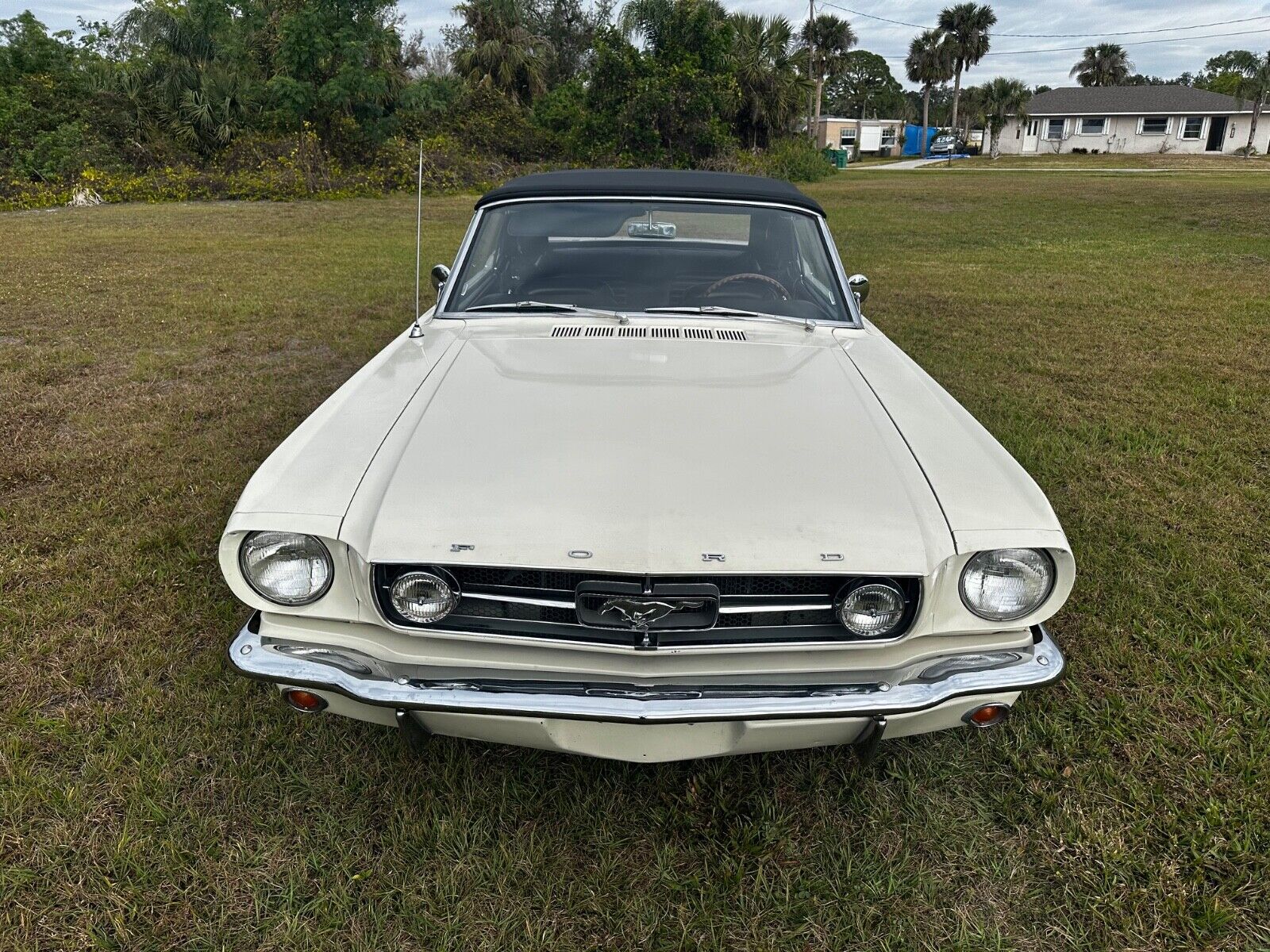 Ford-Mustang-Cabriolet-1965-White-21388-7