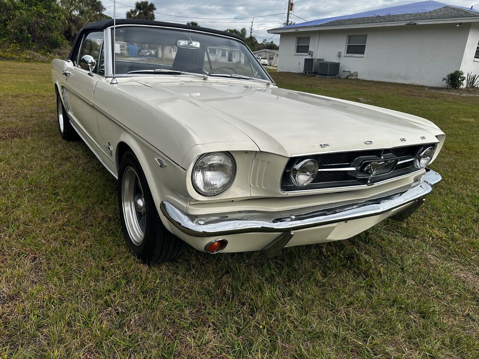 Ford-Mustang-Cabriolet-1965-White-21388-8