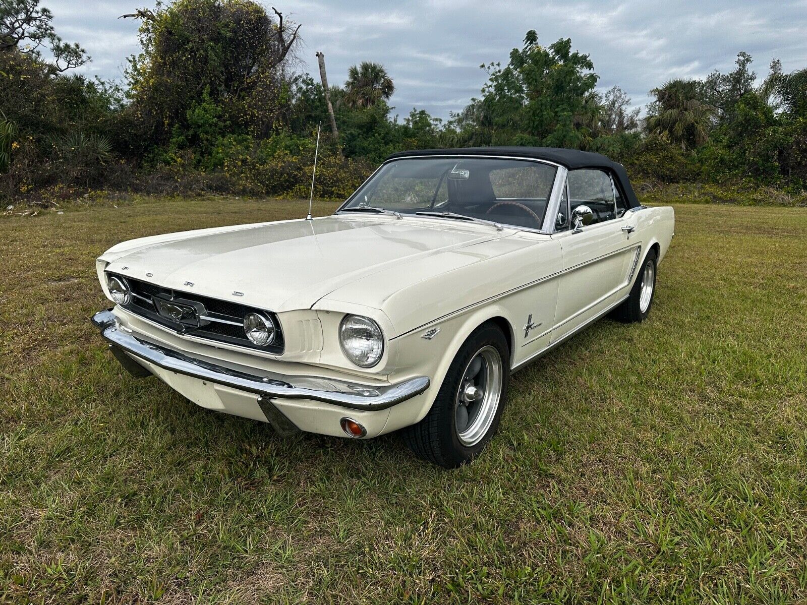 Ford Mustang Cabriolet 1965