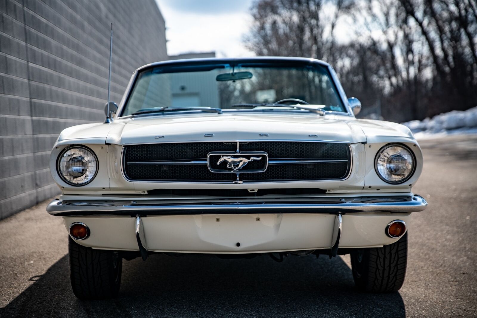 Ford-Mustang-Cabriolet-1965-White-Blue-162491-3