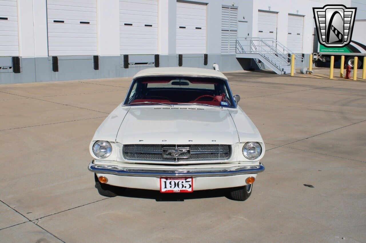 Ford-Mustang-Cabriolet-1965-White-Red-77442-5