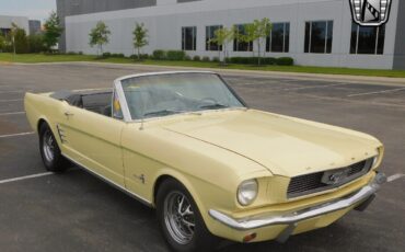 Ford-Mustang-Cabriolet-1966-Yellow-Black-33841-7