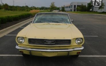 Ford-Mustang-Cabriolet-1966-Yellow-Black-33841-8