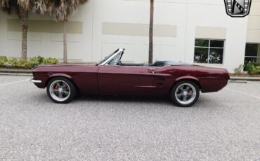 Ford-Mustang-Cabriolet-1967-Burgundy-Black-1189-5