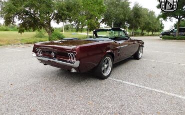 Ford-Mustang-Cabriolet-1967-Burgundy-Black-1189-7