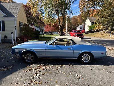 Ford-Mustang-Cabriolet-1973-Blue-Gray-26734-9