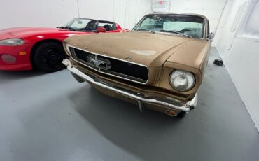 Ford-Mustang-Coupe-1964-Gold-114410-13