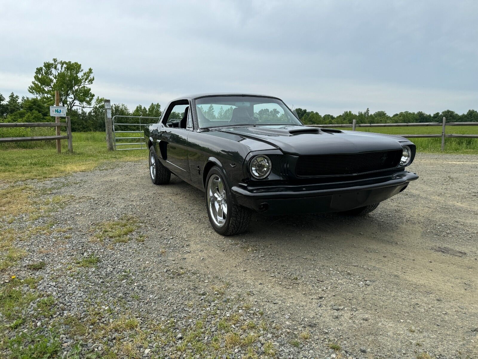 Ford Mustang Coupe 1965