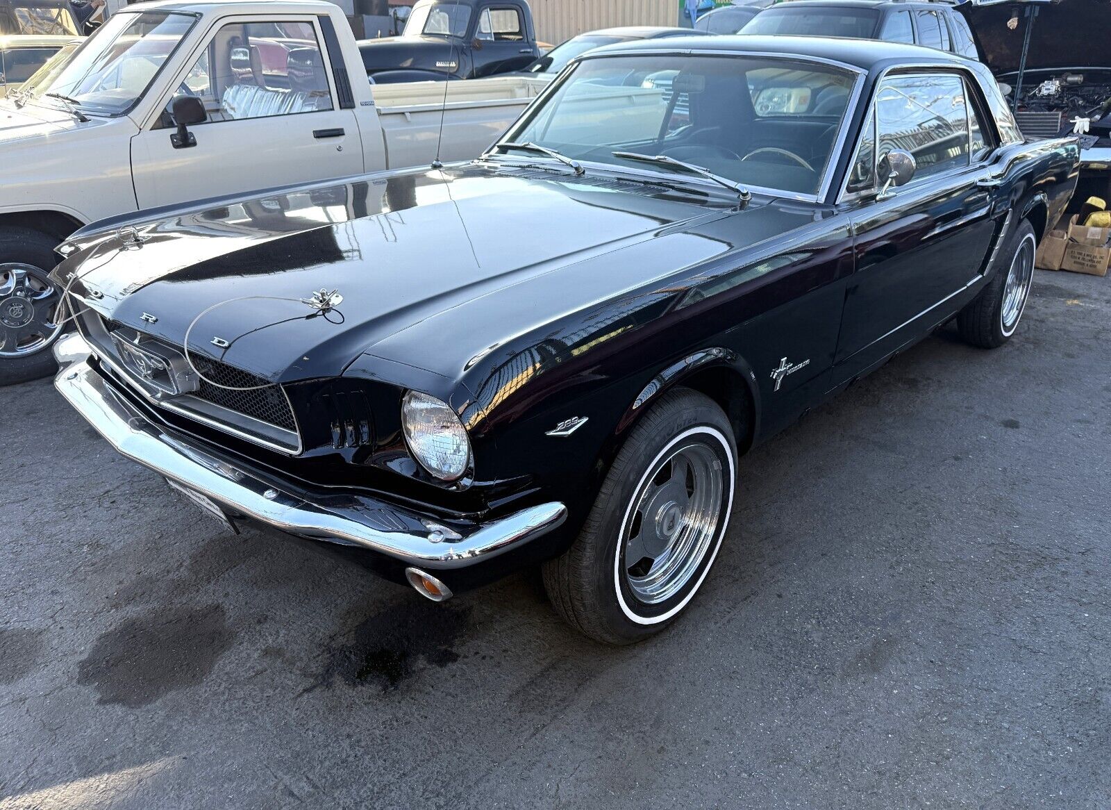 Ford-Mustang-Coupe-1965-Black-Black-41323-2