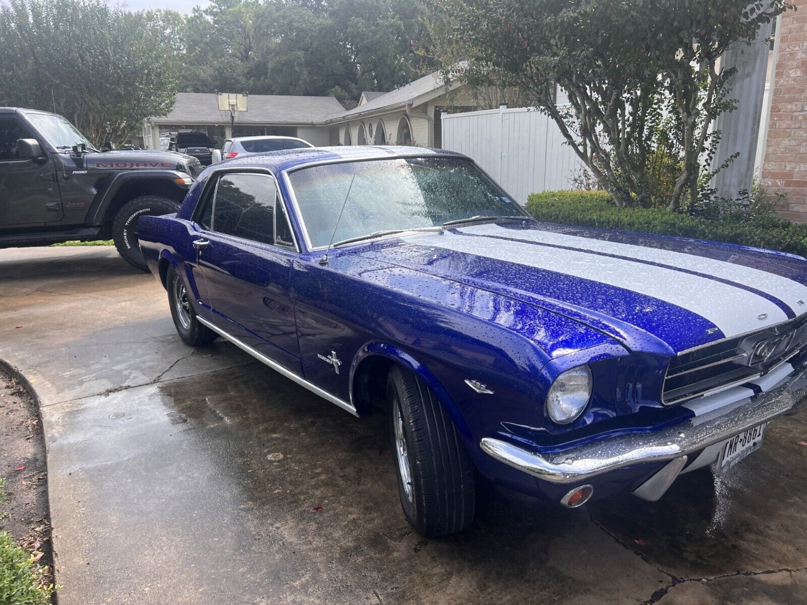 Ford-Mustang-Coupe-1965-Blue-96561-7