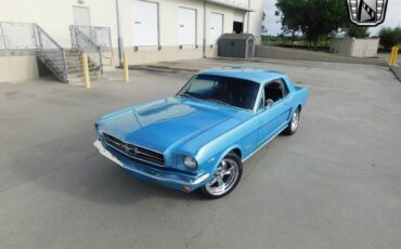 Ford-Mustang-Coupe-1965-Blue-Black-152004-9