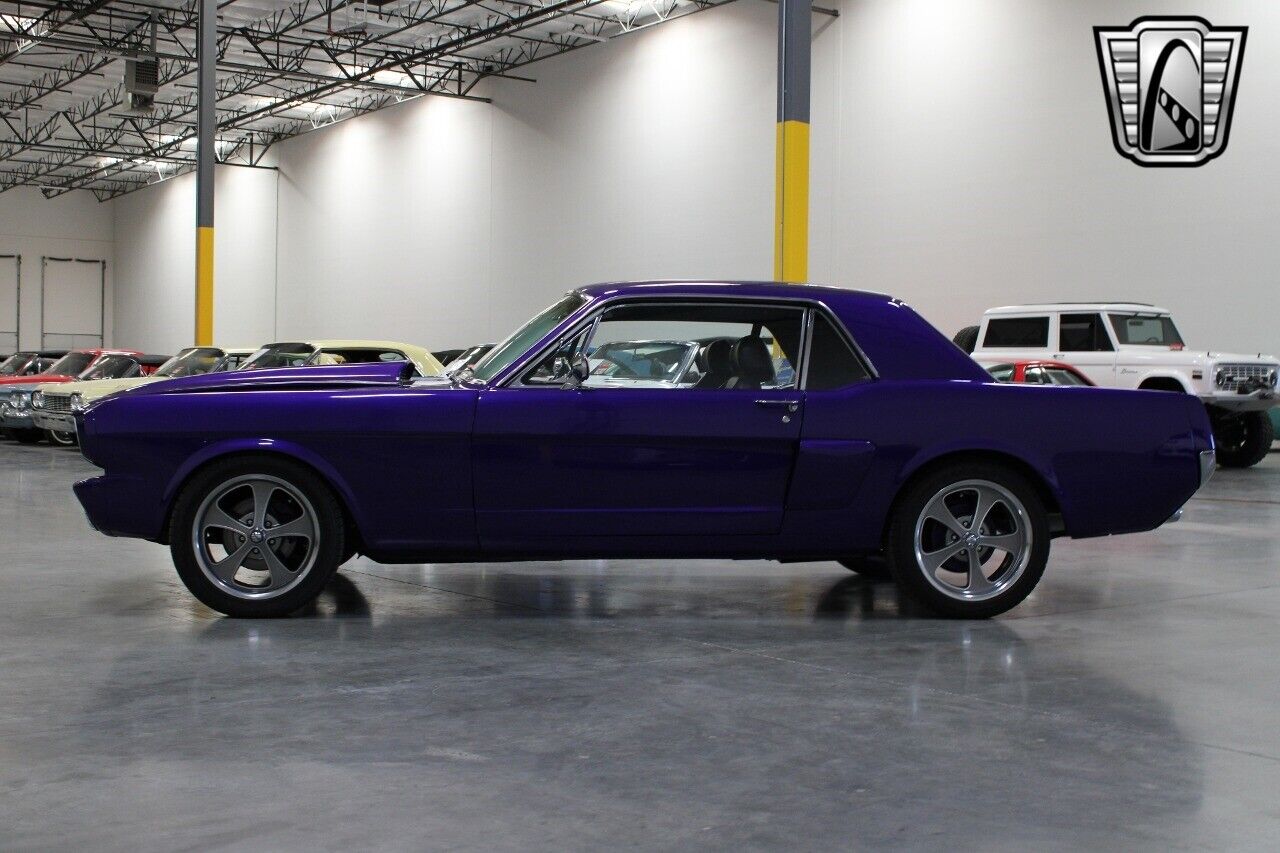 Ford-Mustang-Coupe-1965-Purple-Black-3236-8