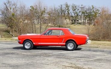 Ford-Mustang-Coupe-1965-Red-White-71489-5