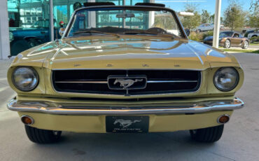 Ford-Mustang-Coupe-1965-Yellow-Black-51139-1