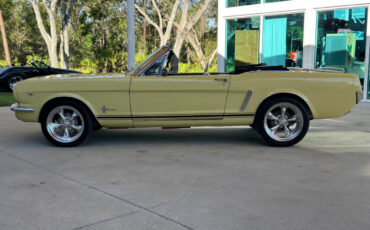 Ford-Mustang-Coupe-1965-Yellow-Black-51139-10