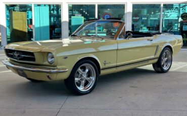 Ford-Mustang-Coupe-1965-Yellow-Black-51139-11