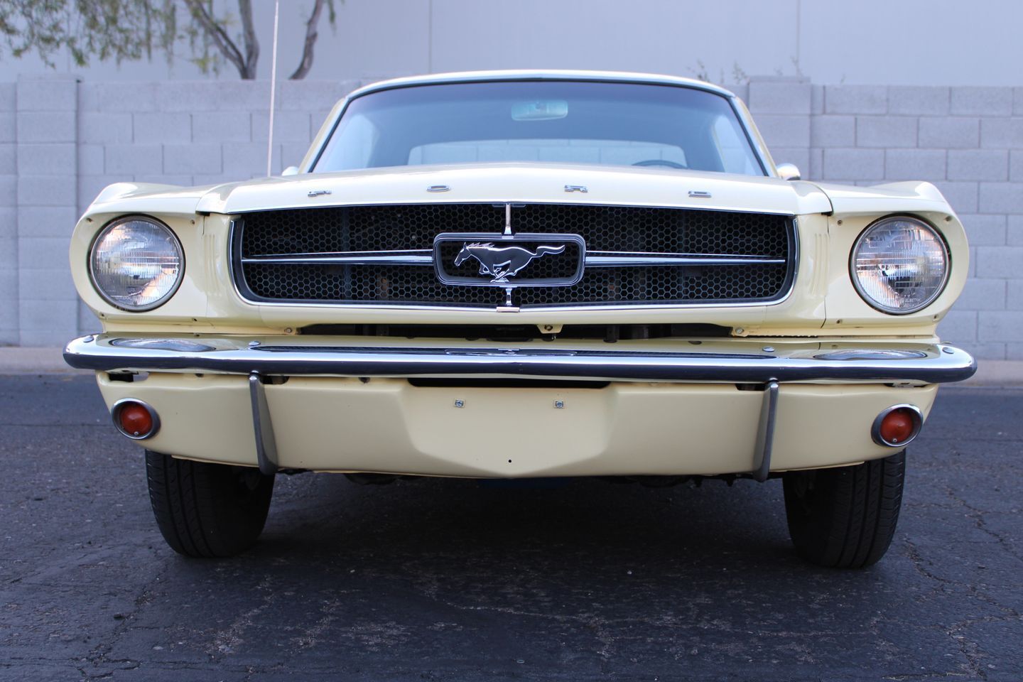 Ford-Mustang-Coupe-1965-Yellow-Black-86034-8