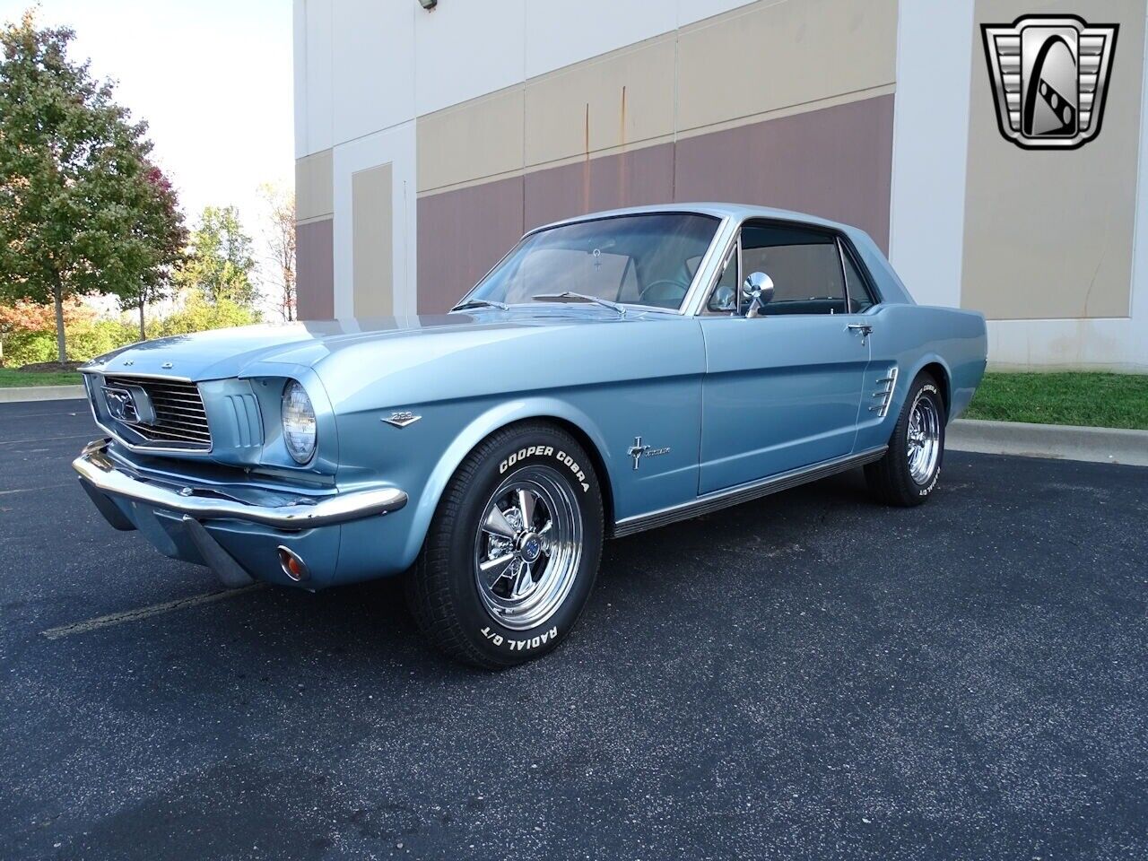 Ford-Mustang-Coupe-1966-Blue-Blue-175418-2