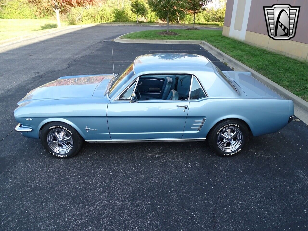 Ford-Mustang-Coupe-1966-Blue-Blue-175418-3