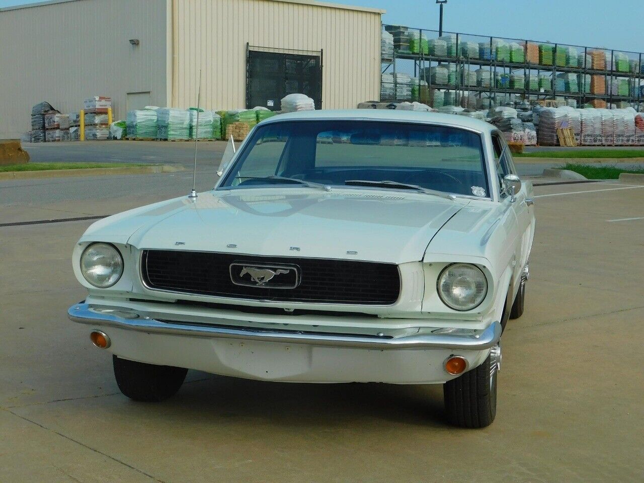 Ford-Mustang-Coupe-1966-White-Black-28207-11