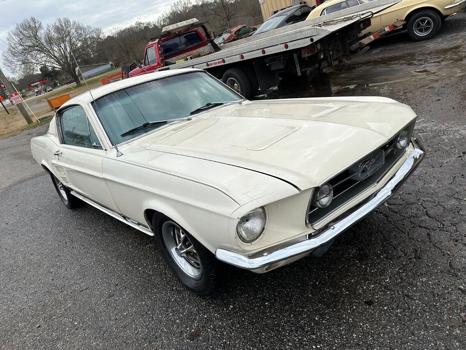 Ford-Mustang-Coupe-1967-198683-8