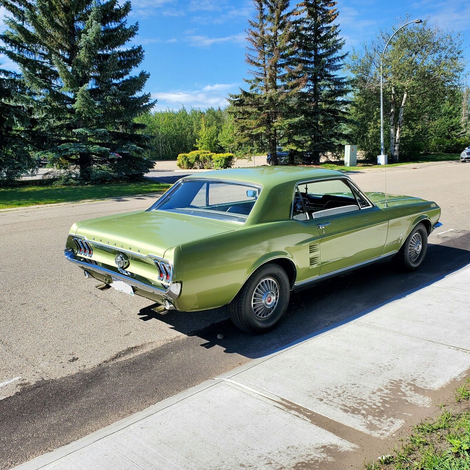 Ford-Mustang-Coupe-1967-Green-146450-4