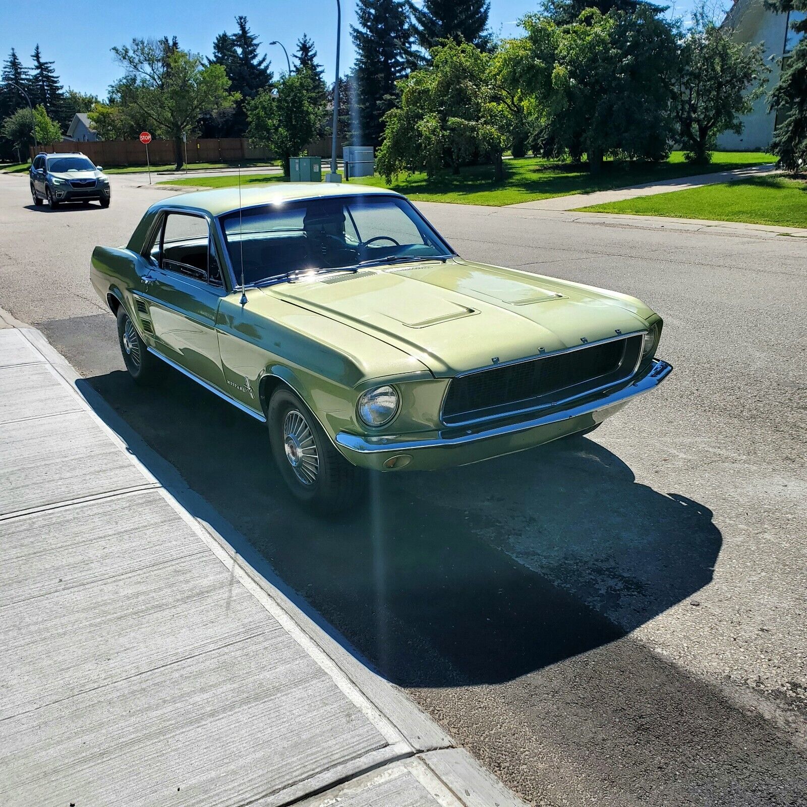 Ford Mustang 1967