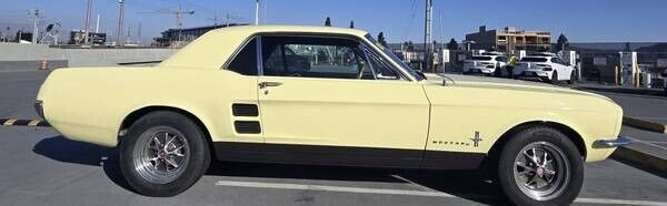 Ford-Mustang-Coupe-1967-Yellow-61646-4