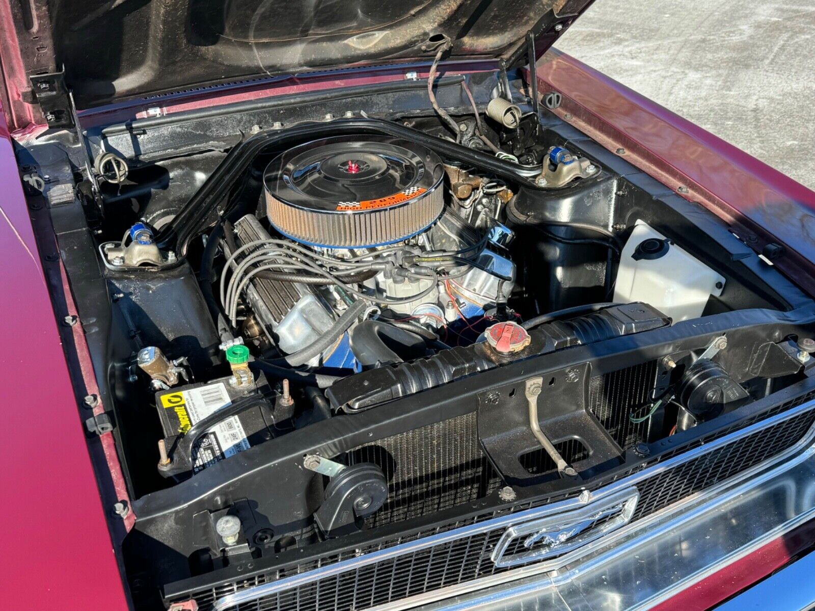 Ford-Mustang-Coupe-1968-Burgundy-136794-12