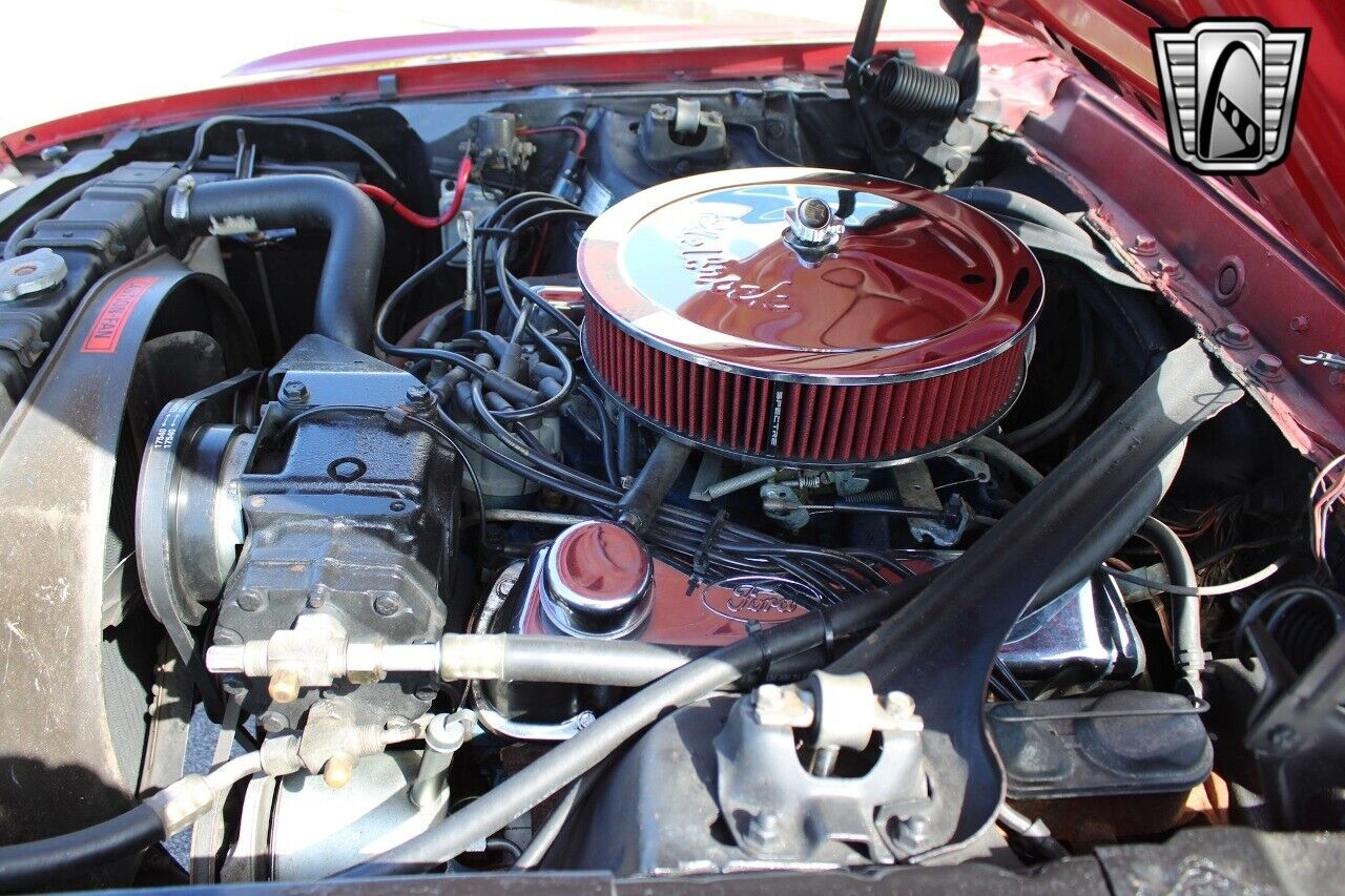 Ford-Mustang-Coupe-1969-Red-Black-113567-10